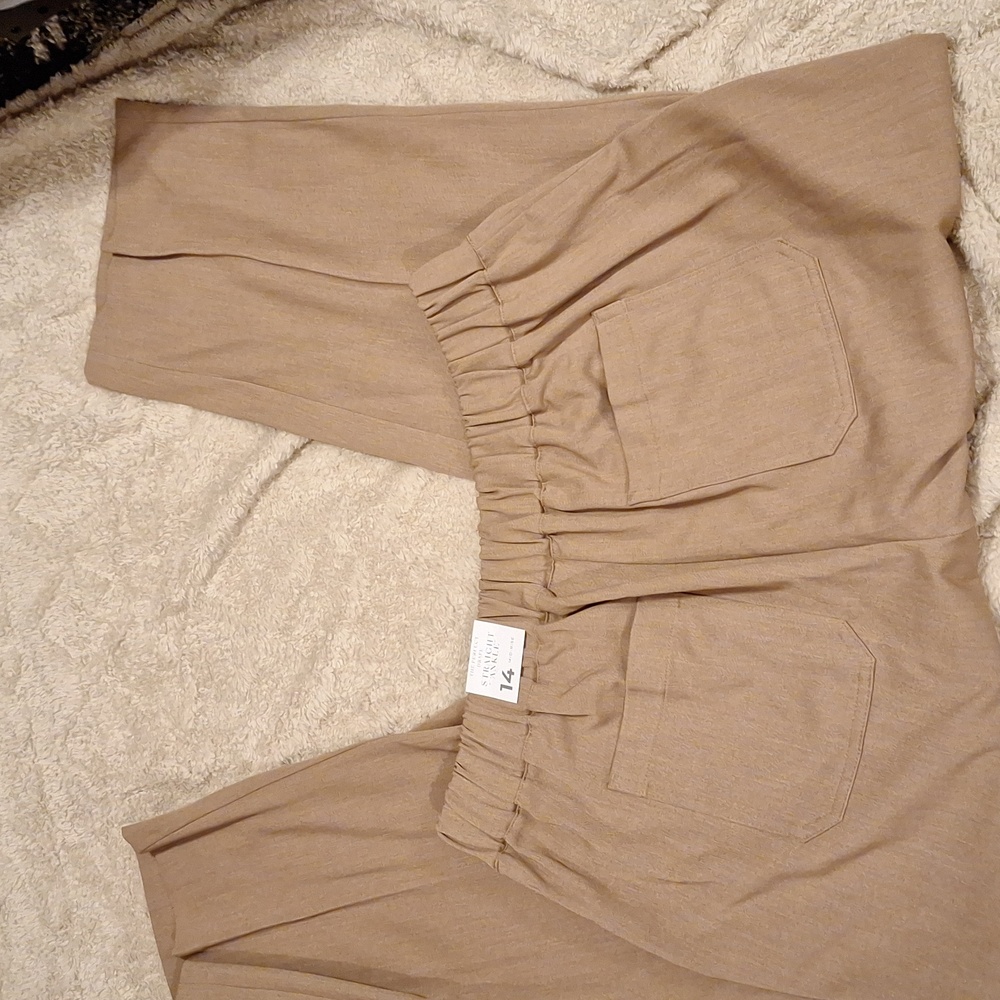 Lane Bryant Beige Trousers